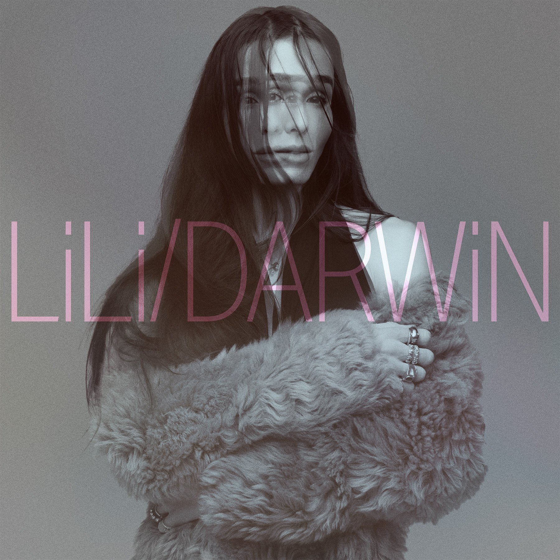 lili(プロフィール必読)ページ LILI/DARWIN — The Tank